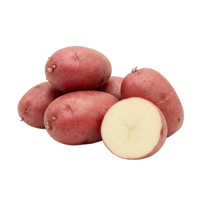 Red Pontiac Seed Potato 5 lb bag for planting — Liberty Farm, Home &amp; Garden, Galion, Ohio