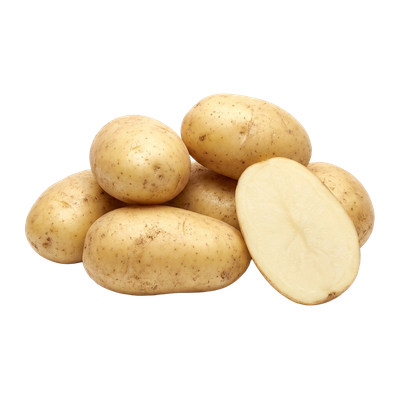 Kennebec Seed Potato 5 lb bag for planting — Liberty Farm, Home &amp; Garden, Galion, Ohio