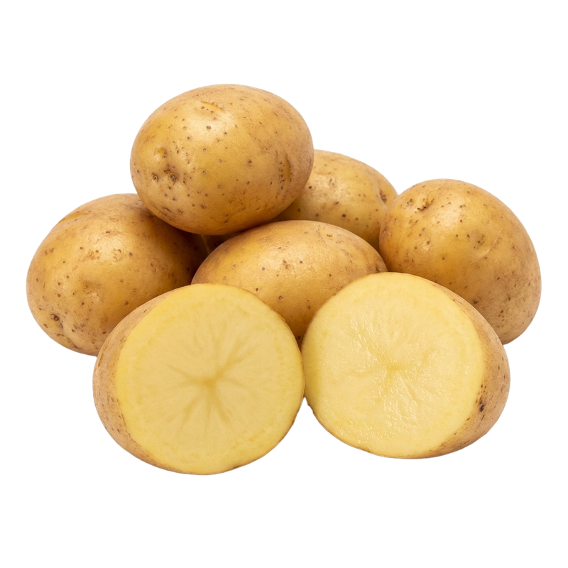 Yukon Gold Seed Potato 5 lb bag for planting — Liberty Farm, Home &amp; Garden, Galion, Ohio