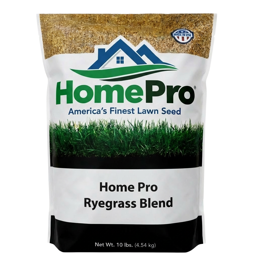 Home Pro Ryegrass Blend (10 lb) available in Galion area