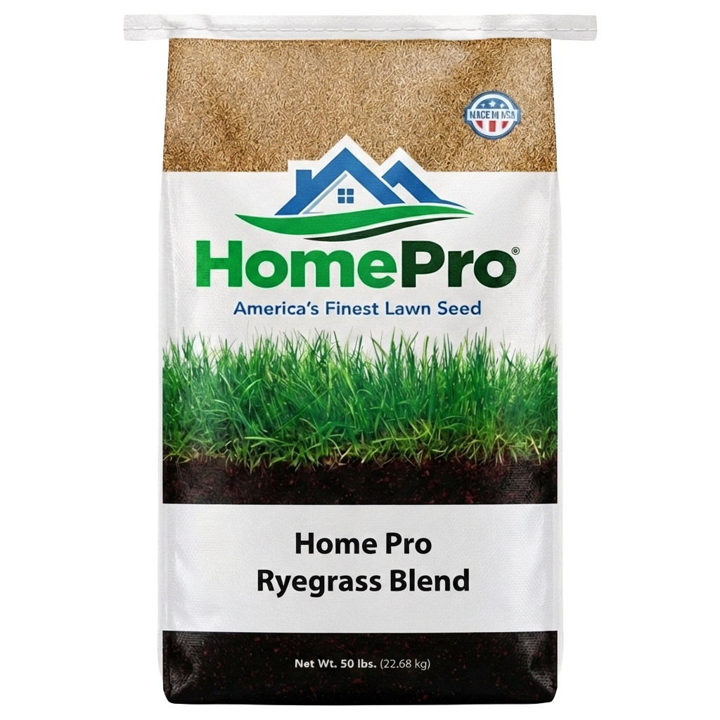 Home Pro Ryegrass Blend (50 lb) available in Galion area