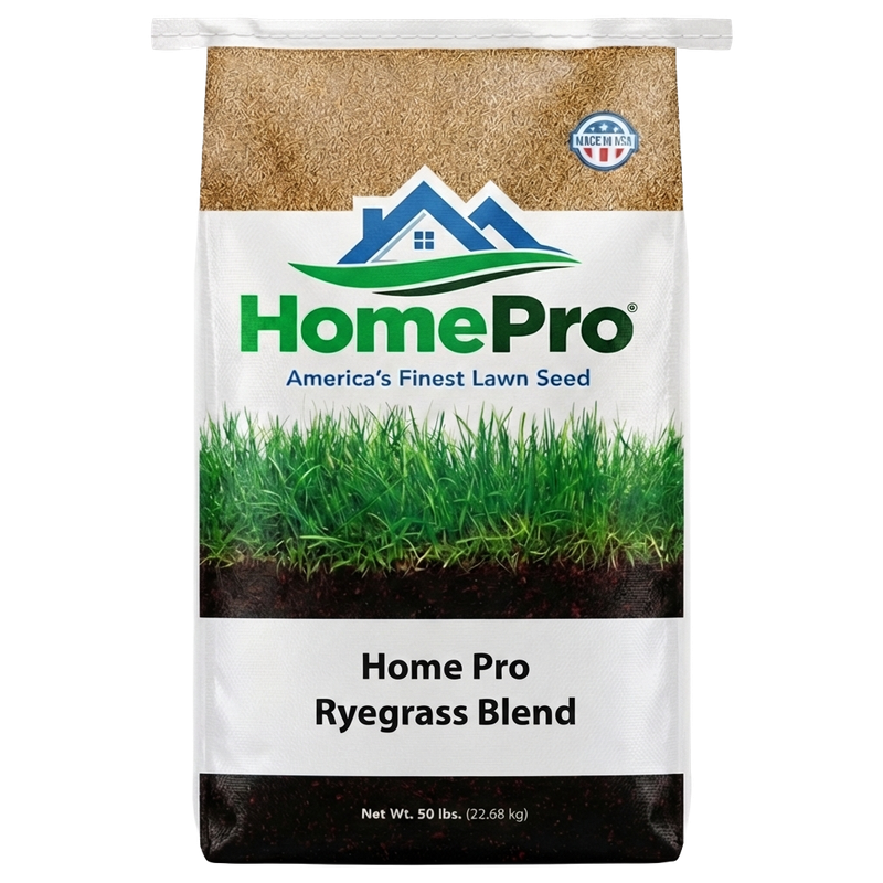 Home Pro Ryegrass Blend (50 lb) available in Galion area
