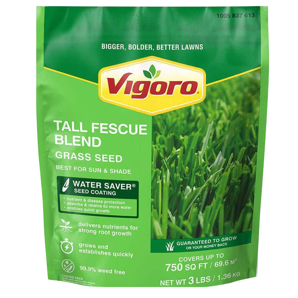 Front view of Vigoro Tall Fescue grass seed 3 lb bag — LibertyFHG Galion OH