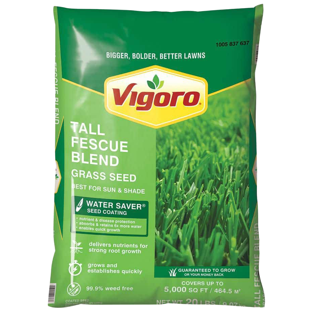Front view of Vigoro Tall Fescue grass seed 20 lb bag — LibertyFHG Galion OH