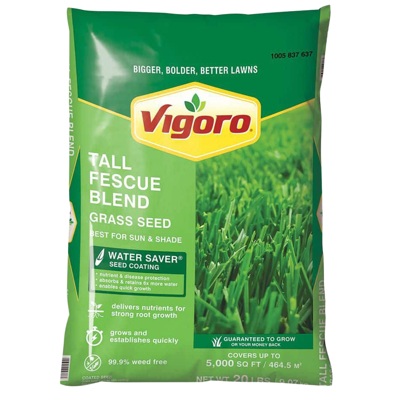 Front view of Vigoro Tall Fescue grass seed 20 lb bag — LibertyFHG Galion OH
