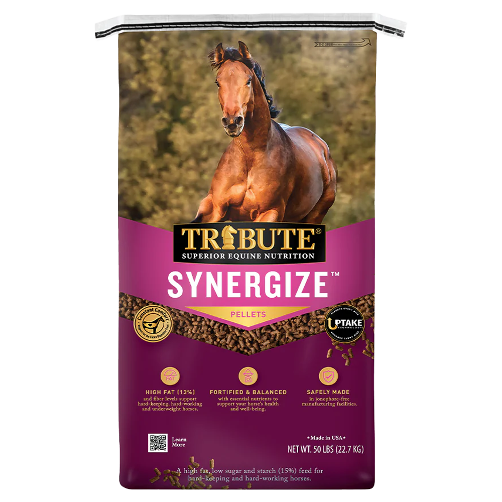 Front view of Kalmbach Synergize pelleted horse feed 50 lb bag — LibertyFHG Galion OH