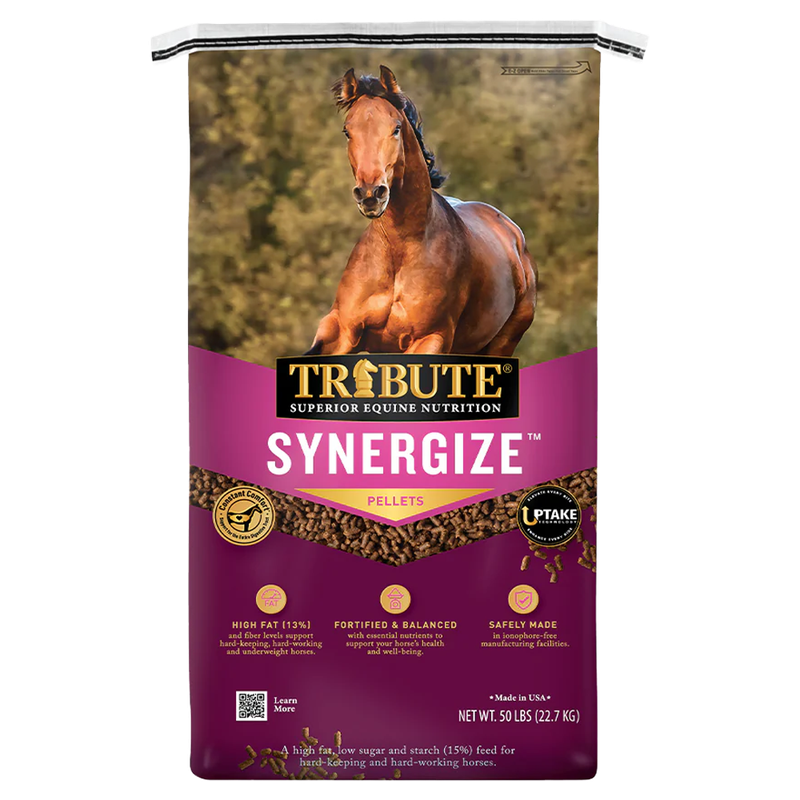 Front view of Kalmbach Synergize pelleted horse feed 50 lb bag — LibertyFHG Galion OH