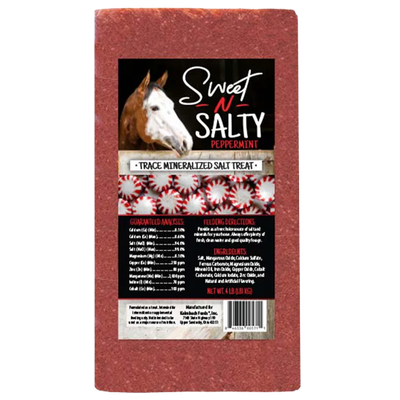 Kalmbach Sweet N Salty Peppermint salt brick for horses in Galion, OH