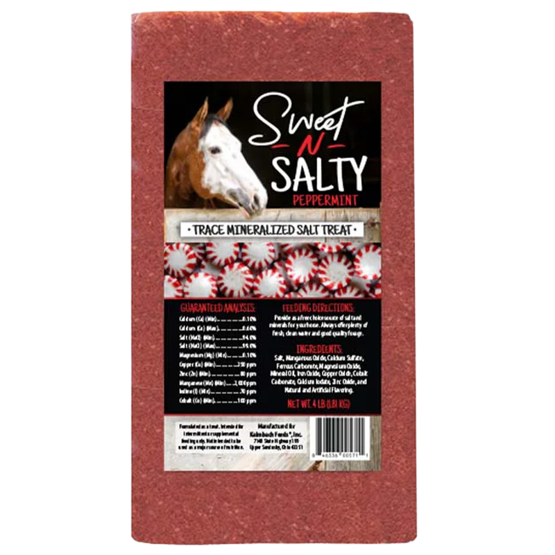 Kalmbach Sweet N Salty Peppermint salt brick for horses in Galion, OH
