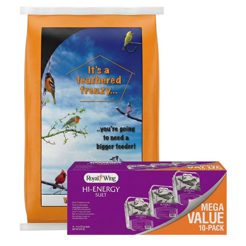 Wild bird feeding bundle with suet and seed in Ontario, OH