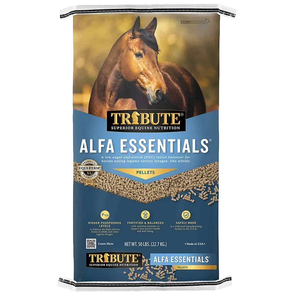 Kalmbach Alfa Essentials ration balancer for sale in Galion, OH