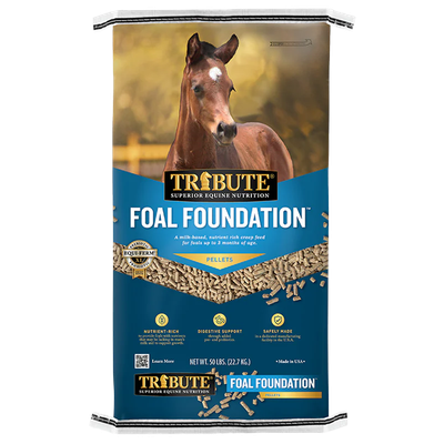 Kalmbach Foal Foundation equine starter feed available in Galion