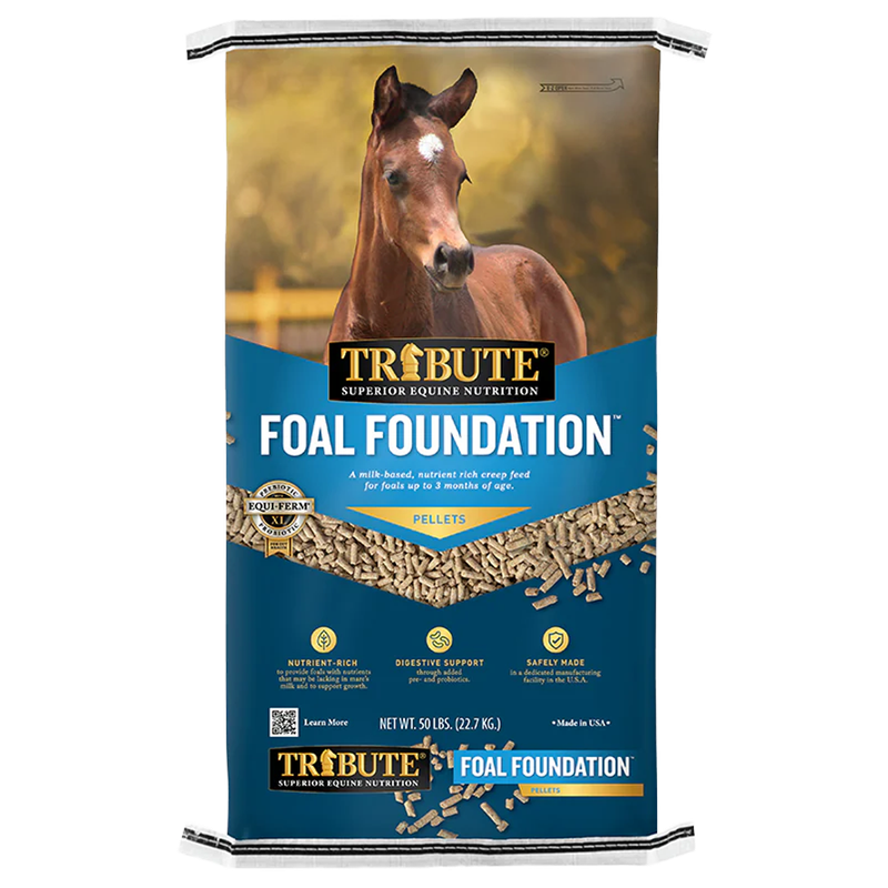 Kalmbach Foal Foundation equine starter feed available in Galion