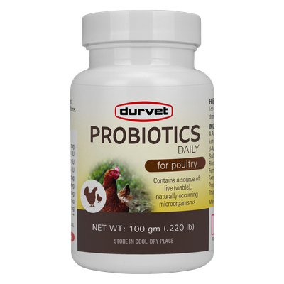 Durvet Probiotics Daily Poultry Supplement for chicken health in Galion, OH