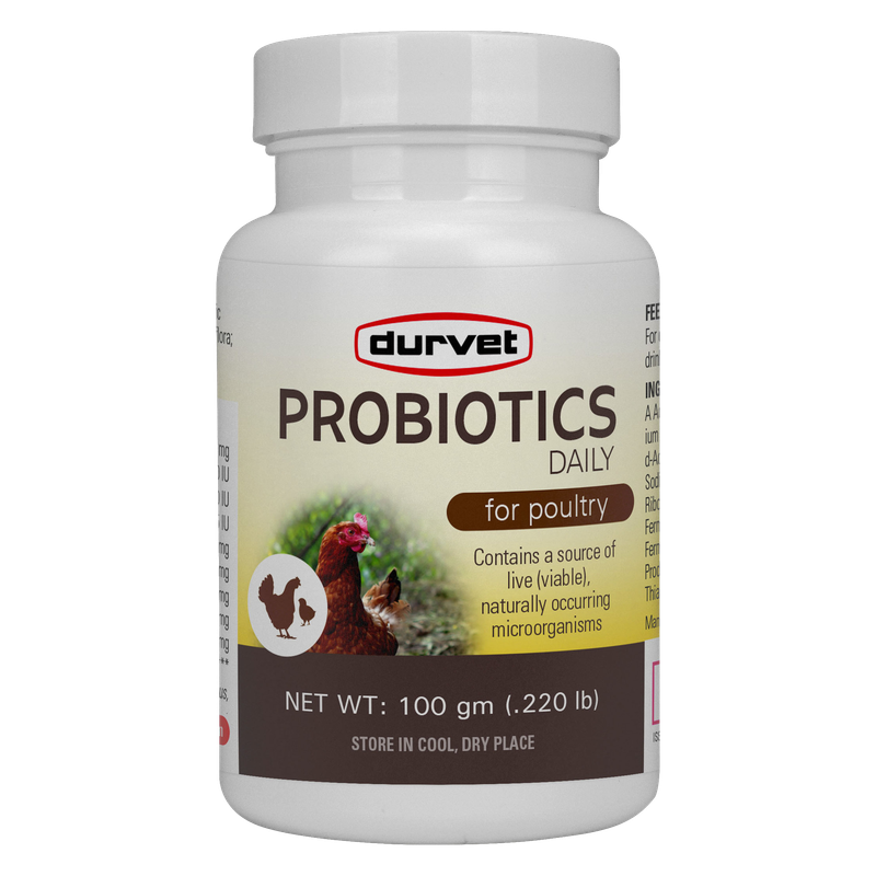 Durvet Probiotics Daily Poultry Supplement for chicken health in Galion, OH