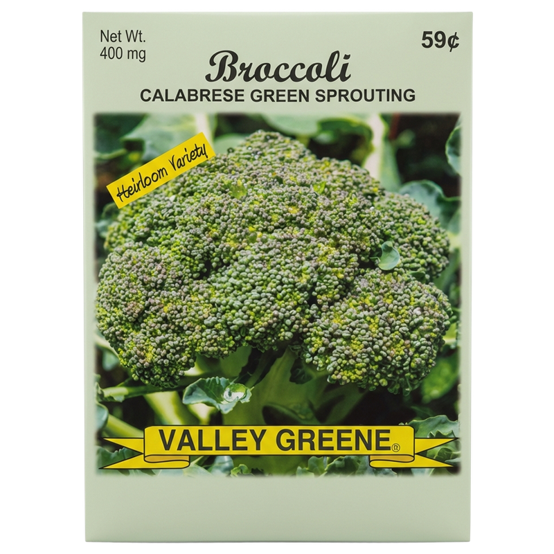 Broccoli Calabrese Green Sprouting heirloom seeds for home gardens in Galion.