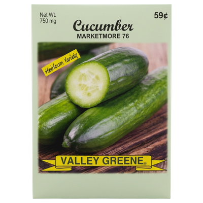 Cucumber Marketmore 76 heirloom seeds for home vegetable gardens in Galion, OH.