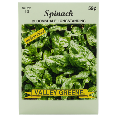 Spinach Bloomsdale Longstanding heirloom seeds for home gardens in Galion, OH.