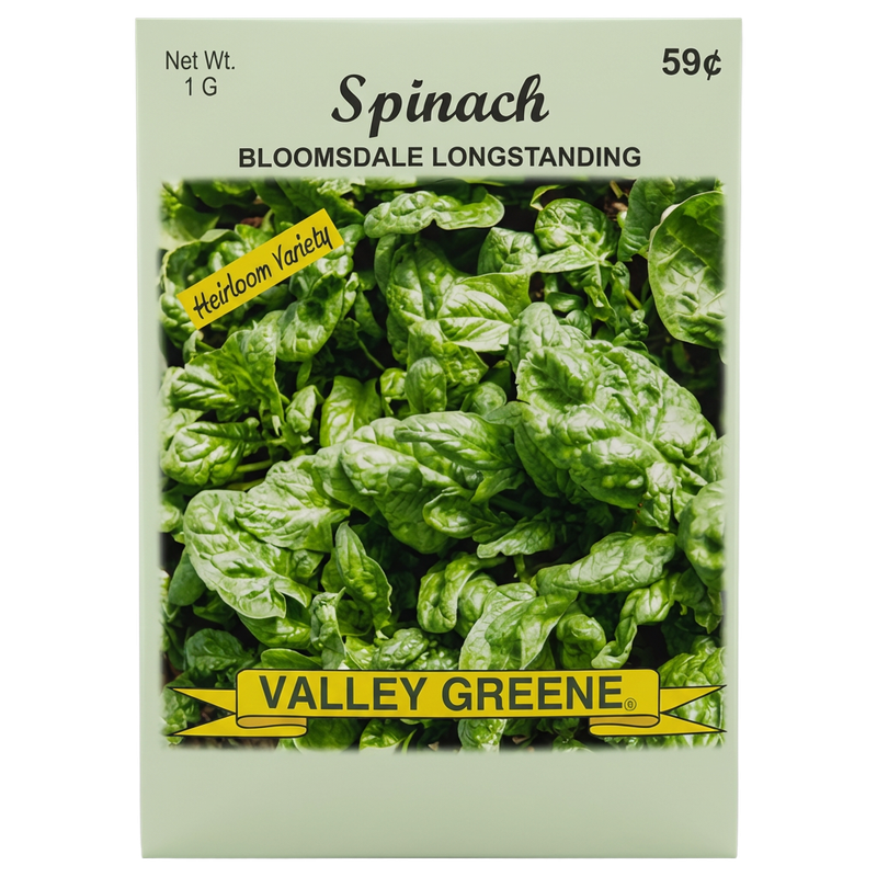 Spinach Bloomsdale Longstanding heirloom seeds for home gardens in Galion, OH.