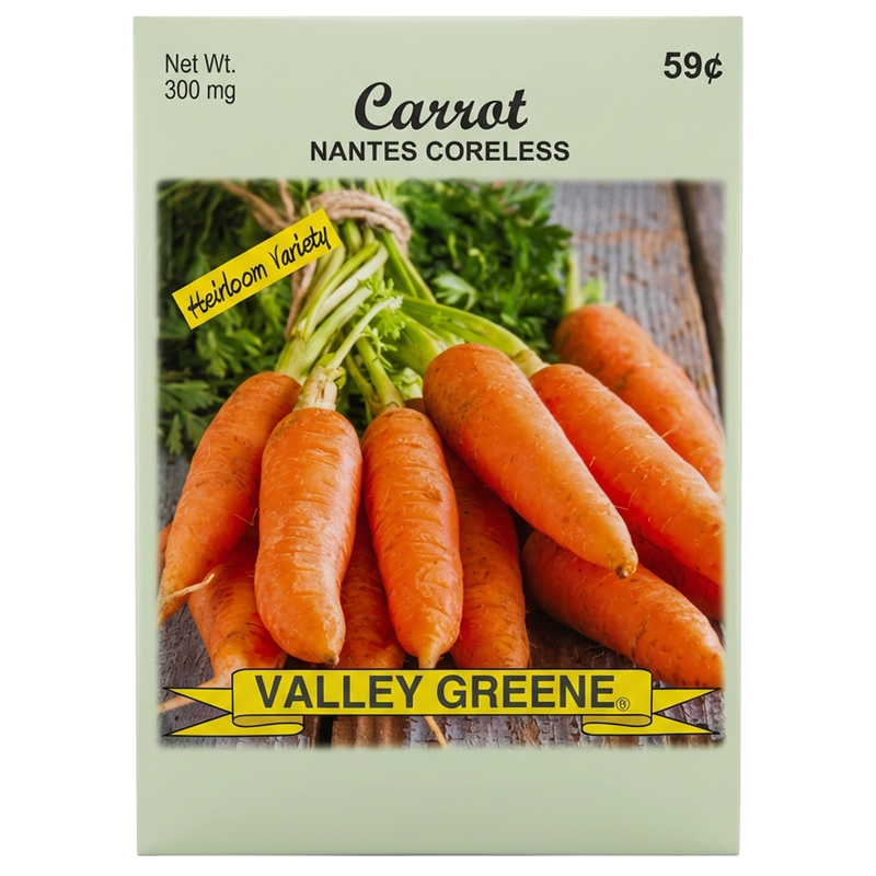 Carrot Nantes Coreless heirloom seeds for home vegetable gardens in Galion.