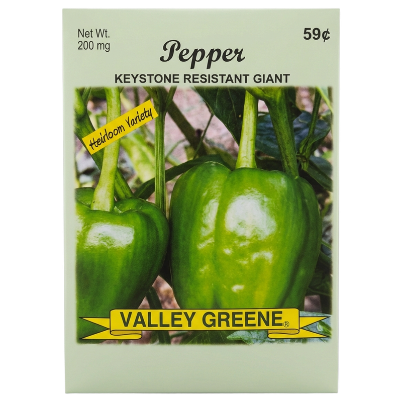Keystone Resistant Giant bell pepper heirloom seeds for home gardens in Galion.