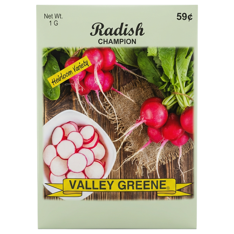 Radish Champion heirloom seeds for home vegetable gardens in Galion.