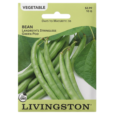 Bean Landreth's Stringless Green Pod non-GMO seeds for home gardens in Galion, OH.