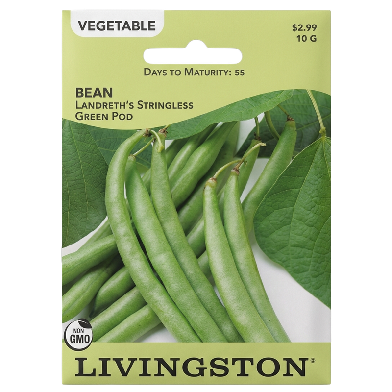 Bean Landreth's Stringless Green Pod non-GMO seeds for home gardens in Galion, OH.