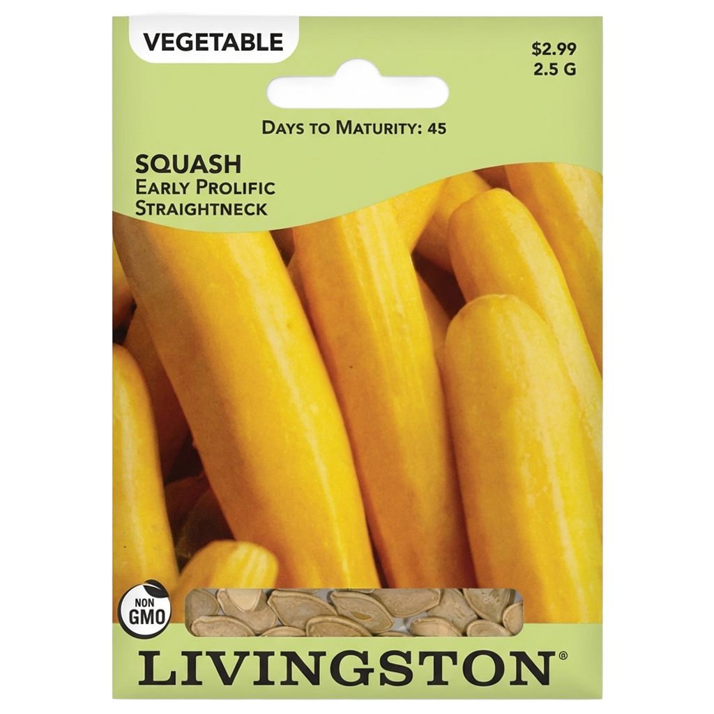 Squash Early Prolific Straightneck seeds in Galion for high-yield summer harvests.