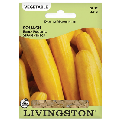 Squash Early Prolific Straightneck seeds in Galion for high-yield summer harvests.