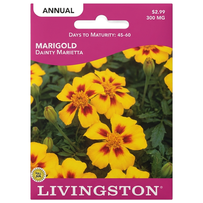 Marigold Dainty Marietta seeds in Galion for bright, non-GMO annual flower borders.