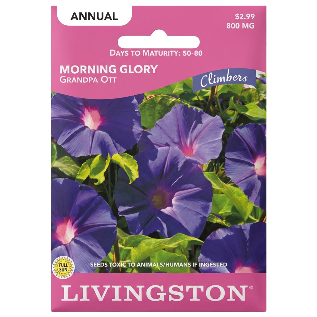 Morning Glory Grandpa Ott seeds in Galion for heritage, non-GMO climbing floral displays.