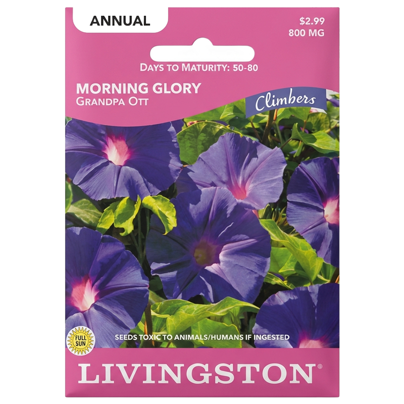 Morning Glory Grandpa Ott seeds in Galion for heritage, non-GMO climbing floral displays.