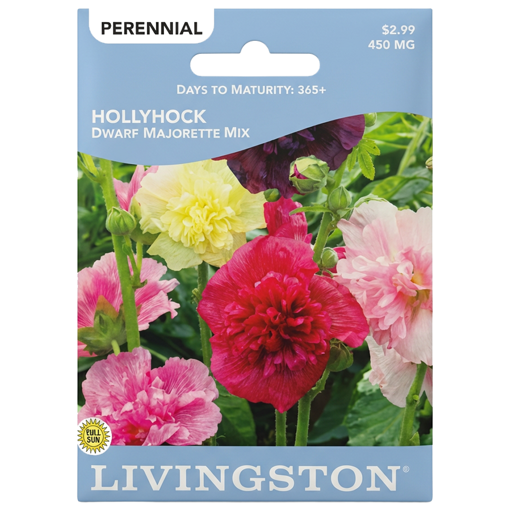 Hollyhock Dwarf Majorette Mix seeds in Galion for compact, non-GMO perennial floral displays.