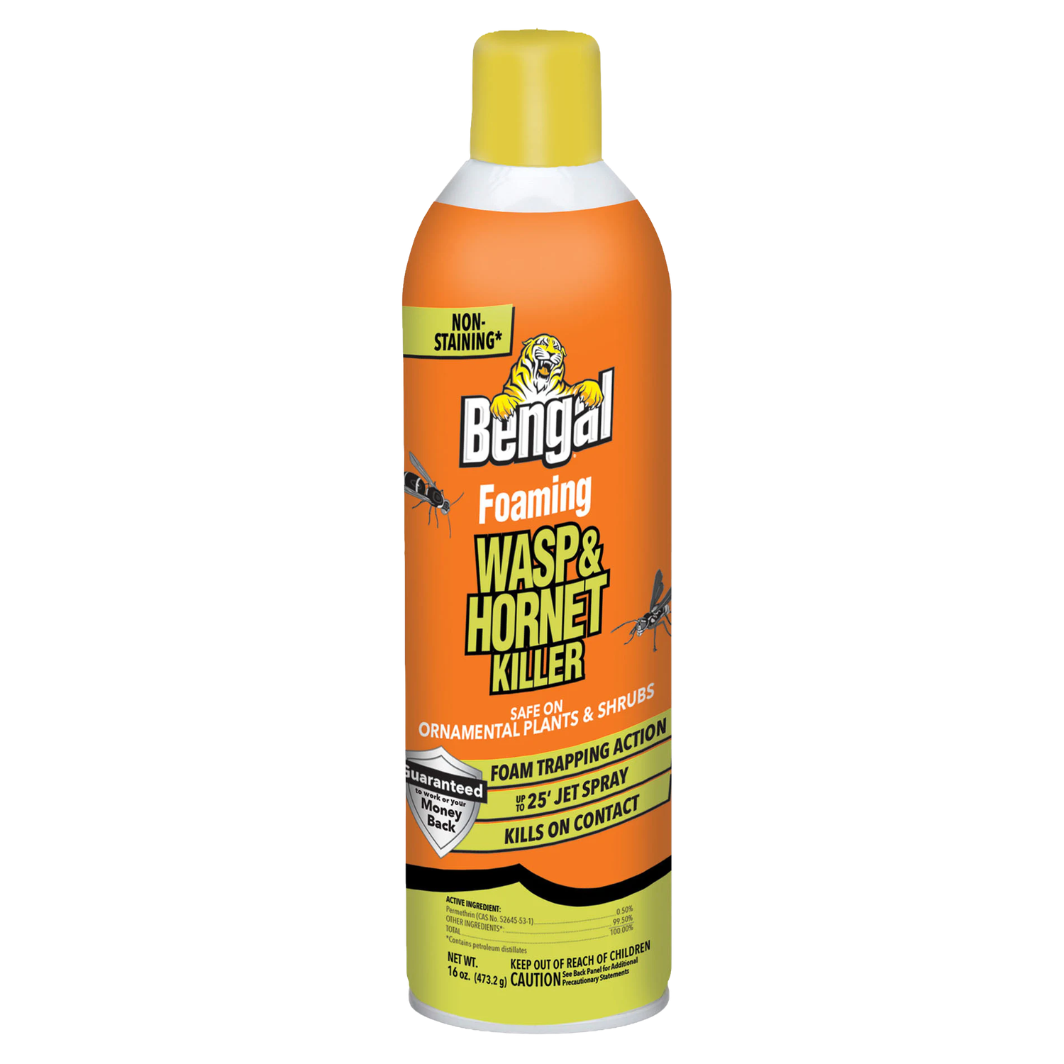 Bengal Foaming Wasp and Hornet Killer for sale near Galion, OH