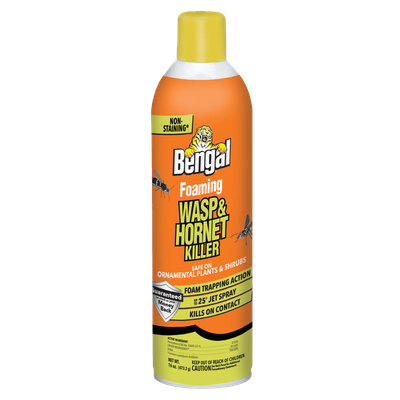 Bengal Foaming Wasp and Hornet Killer for sale near Galion, OH