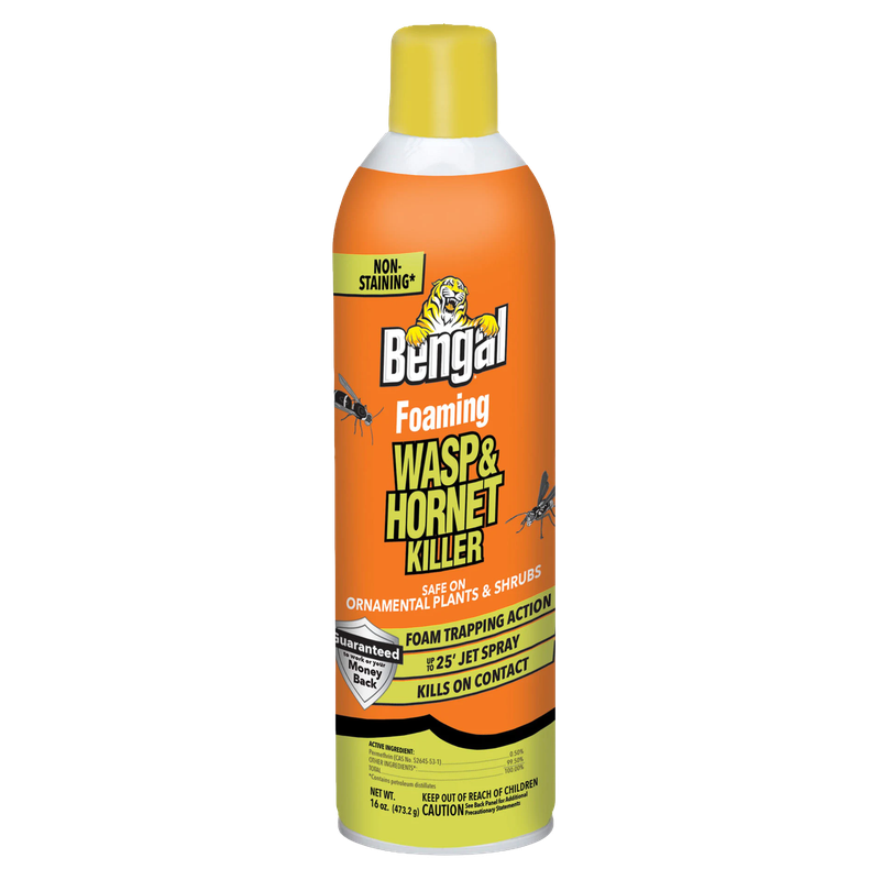 Bengal Foaming Wasp and Hornet Killer for sale near Galion, OH