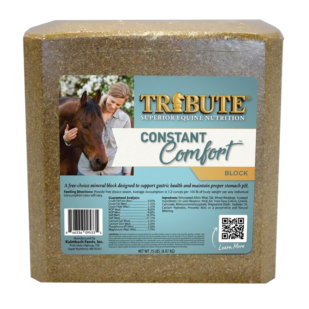 Kalmbach Feeds Constant Comfort Block for sale in New Washington, OH