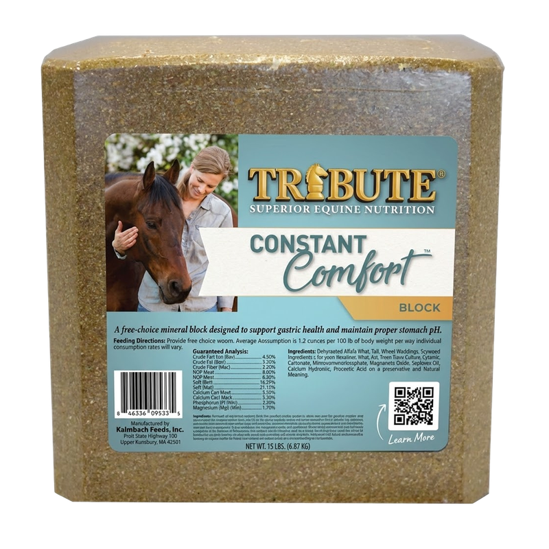 Kalmbach Feeds Constant Comfort Block for sale in New Washington, OH