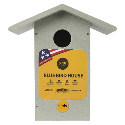 Birds Choice Recycled Plastic Bluebird House in sage green made from eco-friendly poly-lumber in USA