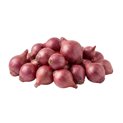 Red Onion Sets (1 lb bag) — small dormant bulbs for spring planting in vegetable gardens | Liberty Farm, Home &amp; Garden, Galion, Ohio