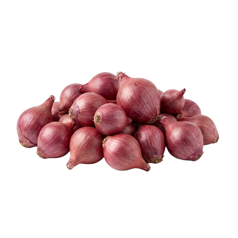 Red Onion Sets (1 lb bag) — small dormant bulbs for spring planting in vegetable gardens | Liberty Farm, Home &amp; Garden, Galion, Ohio