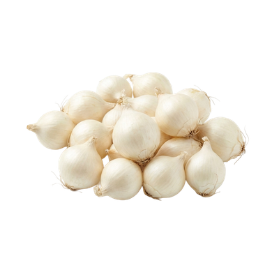White Onion Sets (1 lb bag) — small dormant bulbs for spring planting in vegetable gardens | Liberty Farm, Home &amp; Garden, Galion, Ohio