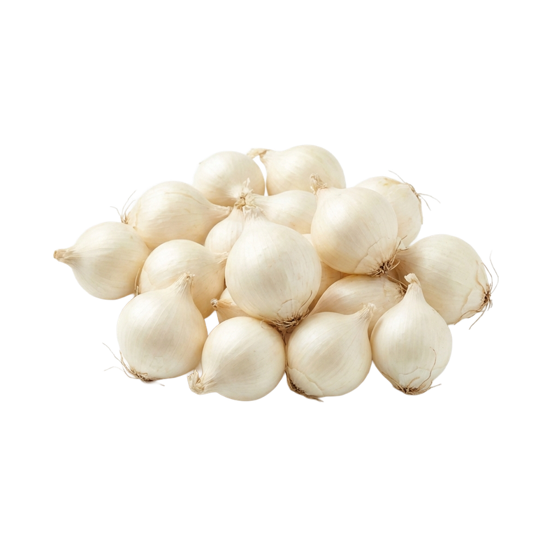 White Onion Sets (1 lb bag) — small dormant bulbs for spring planting in vegetable gardens | Liberty Farm, Home &amp; Garden, Galion, Ohio