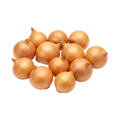 Yellow Onion Sets (1 lb bag) — small dormant bulbs for spring planting in vegetable gardens | Liberty Farm, Home &amp; Garden, Galion, Ohio