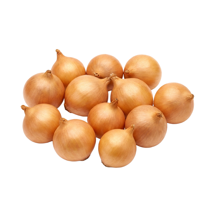 Yellow Onion Sets (1 lb bag) — small dormant bulbs for spring planting in vegetable gardens | Liberty Farm, Home &amp; Garden, Galion, Ohio
