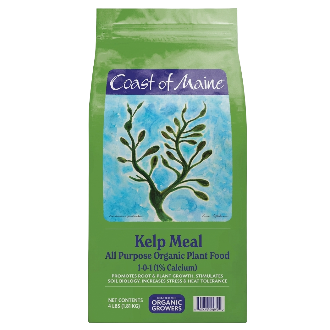 Coast of Maine Kelp Meal Organic Plant Food (4 lb)