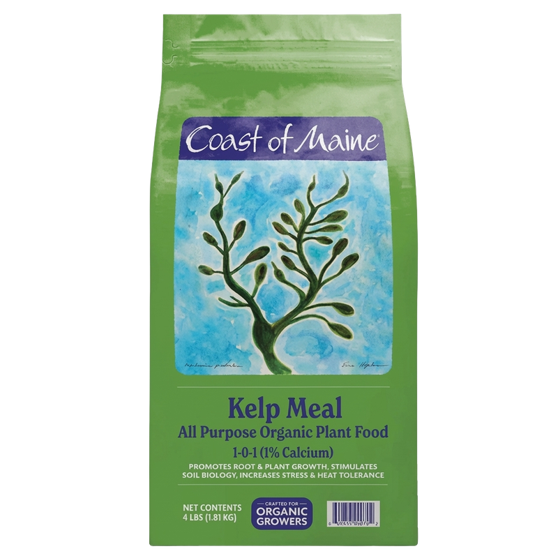 Coast of Maine Kelp Meal Organic Plant Food (4 lb)