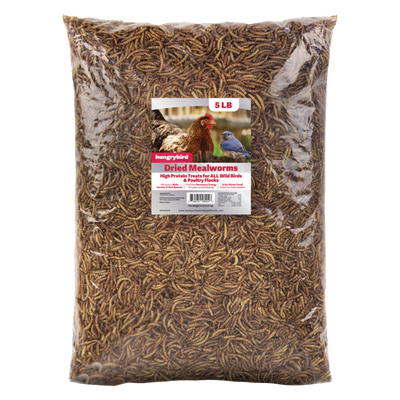 Hungrybird Dried Mealworms 5 lb bag — high-protein bird food for bluebirds and songbirds | Liberty Farm, Home &amp; Garden