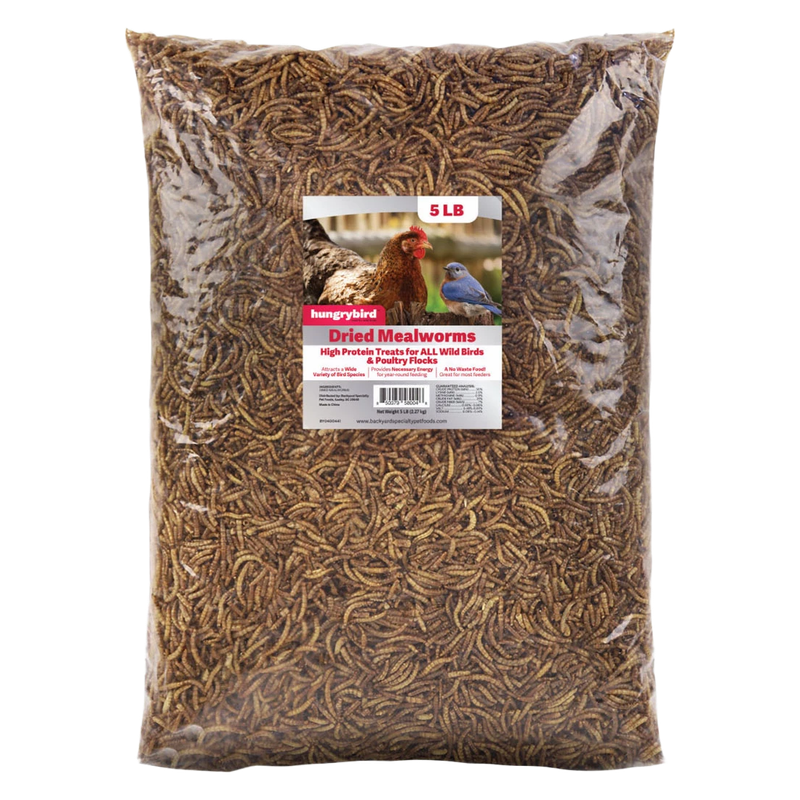 Hungrybird Dried Mealworms 5 lb bag — high-protein bird food for bluebirds and songbirds | Liberty Farm, Home &amp; Garden